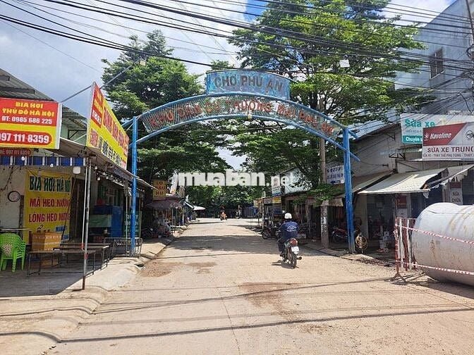 Bán Gấp Lô Đất 100m2 Ngang 5m Mặt Tiền Ngay Chợ Phú An Phường An Phú