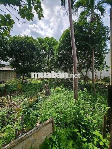 💥 Đất Bình Nhâm ngang 10 – 240m² – Gần Nguyễn Chí Thanh – Giá 5,2 Tỷ 💥