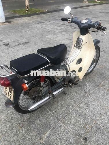 học xong phổ thông không đi nữa nên bán