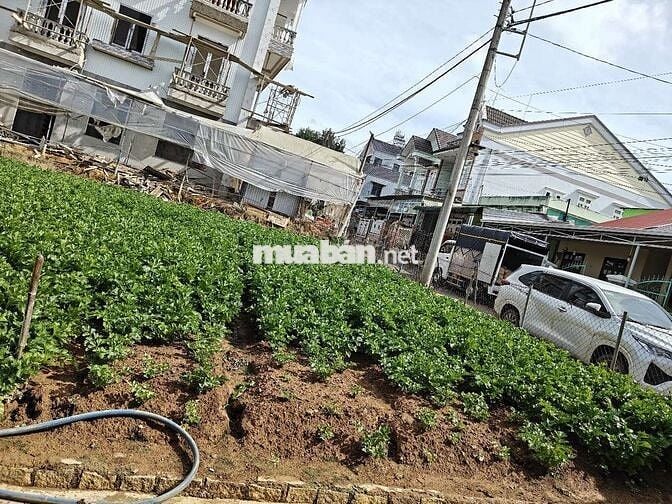 Cần bán đất nông nghiệp 2 mặt tiền