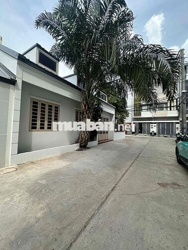 NHÀ CHO THUÊ HẺM 8M NGUYỄN THỊ TÚ
