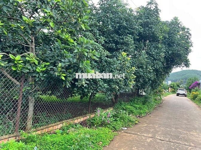 Bán lô đất cách hồ Từ Liêm 100m tại xã Nam Ban, Lâm Đồng