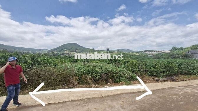 Lô đất mặt tiền đường bê tông gần khu HT86, thôn 5 Gia Lâm, Lâm Hà cũ