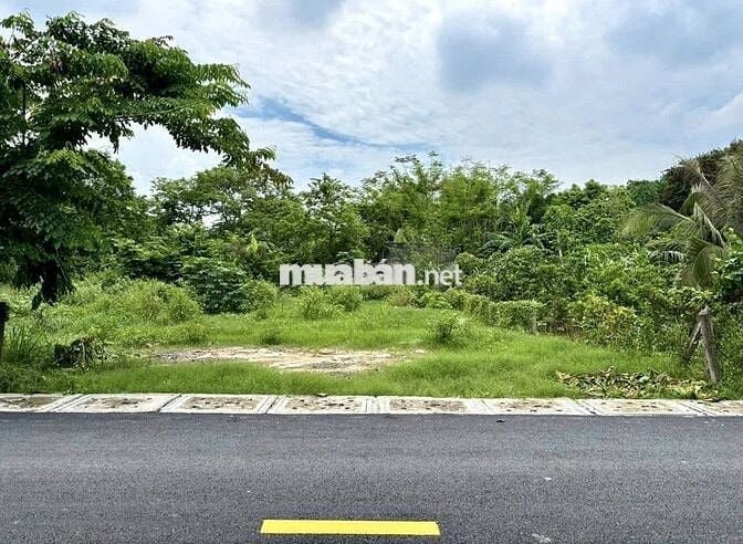 Đất MT Tân Thới Nhì, cách QL22 200m, 86m2 giá chỉ 1tỷ250, SHR