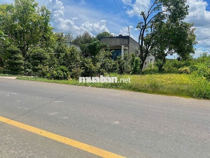 Bán Ngộp Đất Mặt Tiền DH507, 835m2 thổ cư 150m2, thuận tiện Kinh Doanh