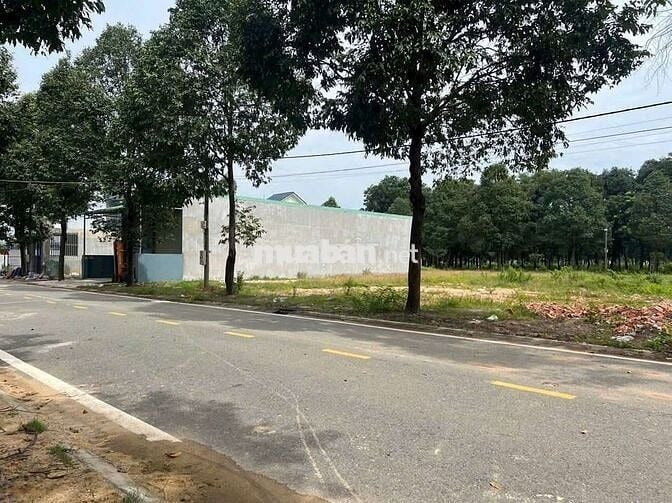 Cho thuê kho mới 100% phú Tân 300m2 đường container 18tr