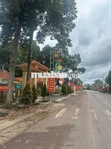 Đất Tp.Hcm Sau Chợ An Linh 424m2(100m2TC) Bao sổ 430tr Cách Dh507 100m