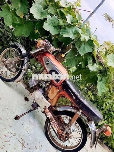 Xe 67 đỏ
