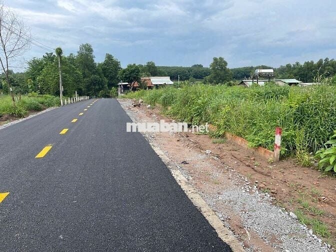 Muốn bán gấp lô đất HCM 2000m2 có sẵn 100m2 thổ cư 700tr