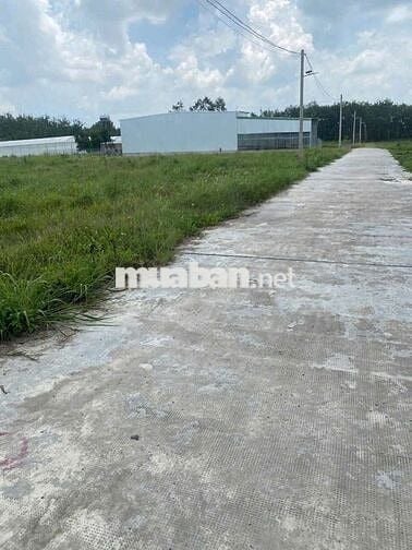 Cần bán gấp lô đất thổ cư giá rẻ