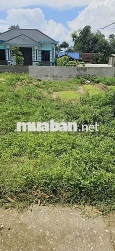 🌹🌹Bán 60m2 Thắng Trí, Minh Trí Ở hay ĐẦU TƯ  đều tuyệt vời -  Ngõ Ô TÔ