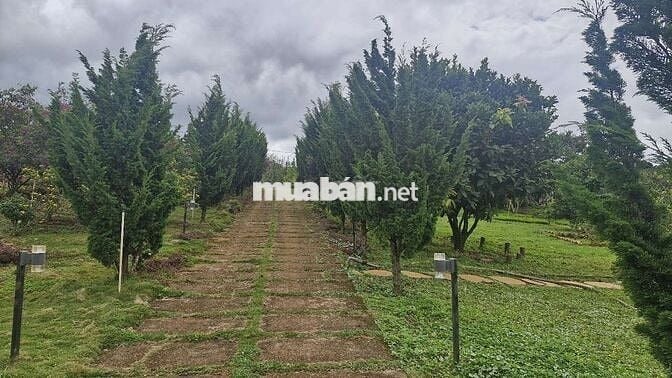 5850m2 nhà vườn nghỉ dưỡng view hồ Phúc Thọ, Lâm Hà, LĐ