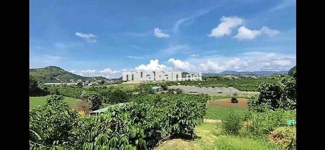 đất sổ đỏ 10000 m2 đã chuyển 2000 m2 thổ cư, thuoc khu dân cư Nam Hà