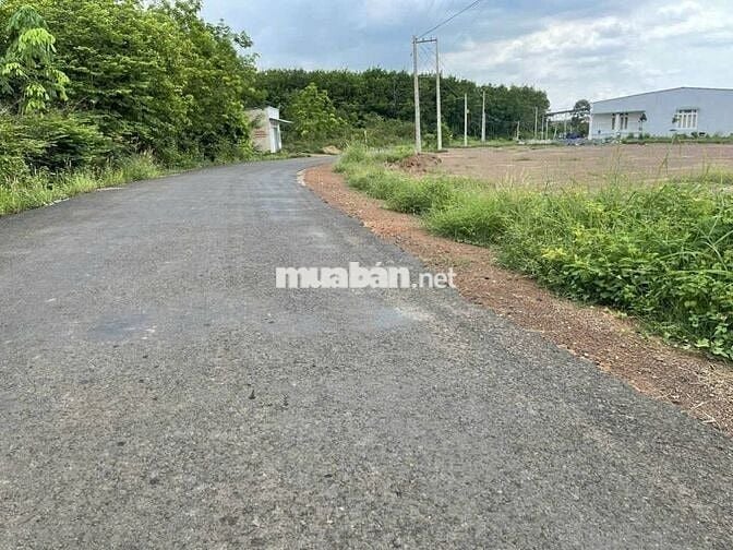 BÁN GẤP ĐẤT THỔ MẶT TIỀN ĐƯỜNG NHƯA 18M NGAY KCN LONG HÀ GIÁ 175TR