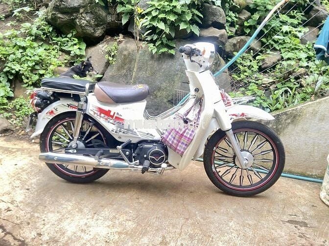 cần pass lại xe 50cc
