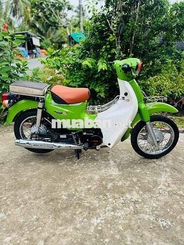 cúp 50cc học sinh