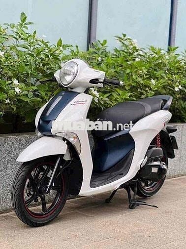 ❌ Yamaha Janus e thanh lý nốt _2018 Phiê