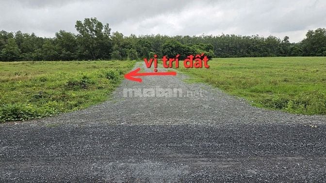 114m2 thổ cư. Đường bê tông gần KCN . Cách nhựa 50m. 430tr 