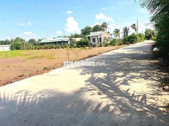 Chỉ 359tr sở hữu 160m2 đất thổ cư đường ô tô cực đẹp