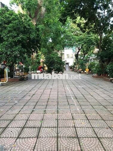 Hai căn hộ khép kín 65m2 tập thể Kim liên, Đống Đa, Hà Nội.