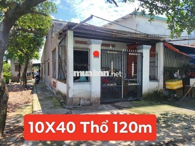Bán nhà và 5 phòng Trọ , 10X40 Thổ 120m. Suối Lội Xã phước Vĩnh an ✅️