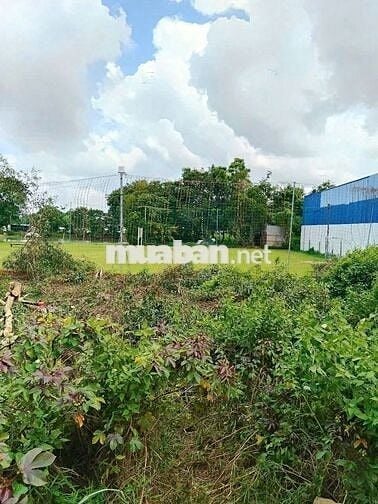 BÁN GẤP CẮT LỖ SÂU LÔ ĐẤT THỔ CƯ NGAY TÂN THÔNG HỘI, CỦ CHI, FULL THỔ
