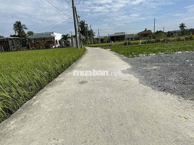 1115m2 Có Sẵn Thổ Cư giá 1 tỷ 150 triệu Sổ Sẵn, có Vườn Cây, nền sẵn
