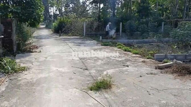Bán Đất nền ở Xã Hòa Phong, Hòa Vang, Đà Nẵng 120m2