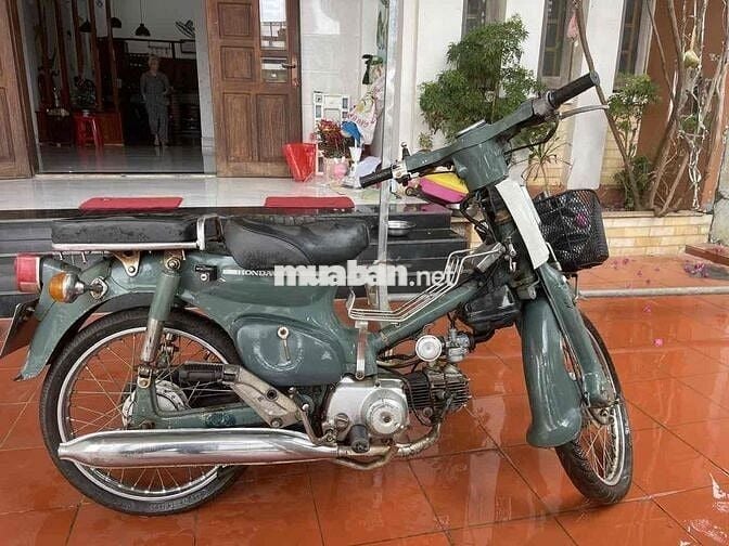 bán cub 81