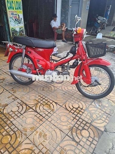 Cup 50 đèn tròn nhập thùng hàng hiếm BSđẹp bao đẹp