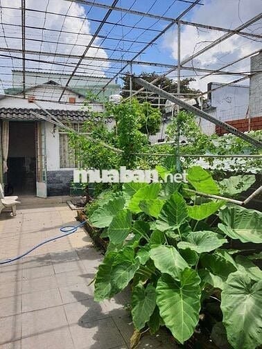 Cho thuê nhà nguyên căn Tân Hiệp 16