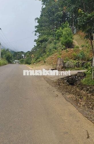 2619m2 Đất phường 3 Bảo lộc , Lâm Đồng