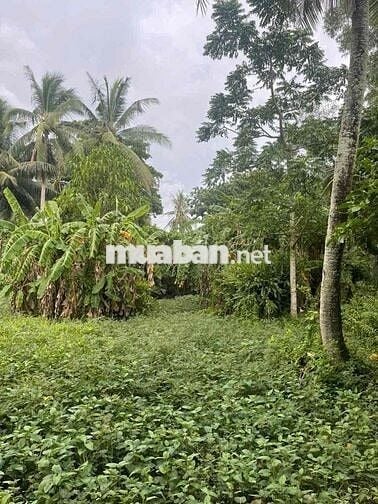 Bán đất tặng nhà trung tâm Rạch Giá, Kiên Giang