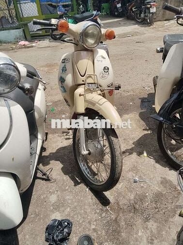 Cúp 50cc hàn quốc