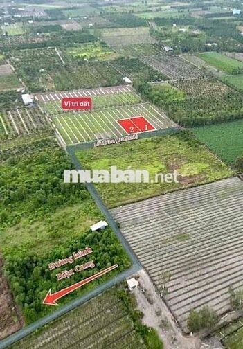 dt: 1000mv , giá 500tr , bình đức - bến lức - long an ( giá tốt )