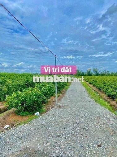 dt : 500m2 , giá 390tr , ấp5 bình đức - bến lức - long an