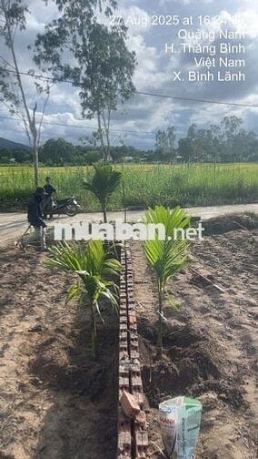 Bán lô đất nền TC ngang 12 ,330m, đường xe hơi,view đẹp giá tốt 790 tr