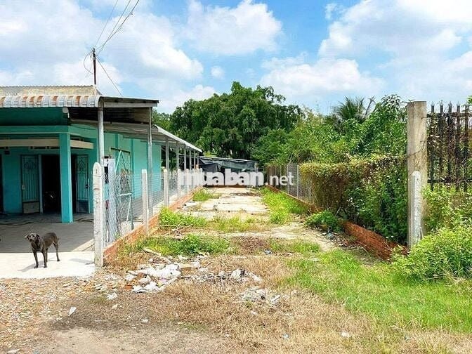 🌟 Bán đất Nguyễn Thị Nê – Giá chỉ 550 triệu 🌟