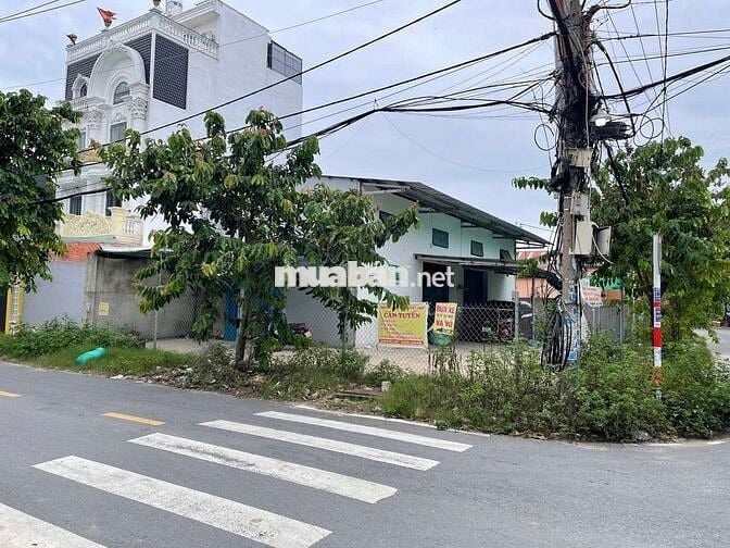 ĐẤT 2 MẶT TIỀN GÓC🫰13M×20M.XÂY BIỆT THỰ.VÍP