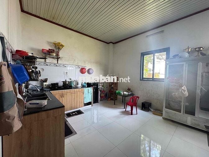 🏡 BÁN ĐẤT TẶNG 2 NHÀ – MUA 1 ĐƯỢC 2 ✨  📍 Vị trí: Phường Tân An – TP. B