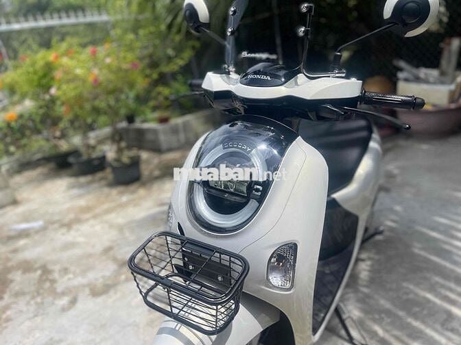 scoopy chạy 500km
