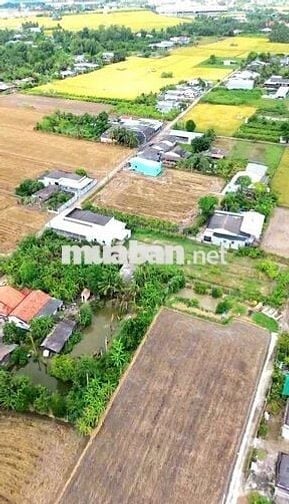 Quá đẹp, 135m2 đất thổ cư 5x 27m đường nguyễn văn ánh chỉ 650tr