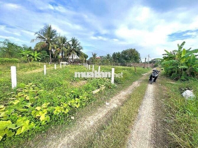 380tr CÓ NGAY 123MV THỔ CƯ ,ÔTÔ ĐẬU NGAY ĐẤT, TÂN TRỤ LONG AN
