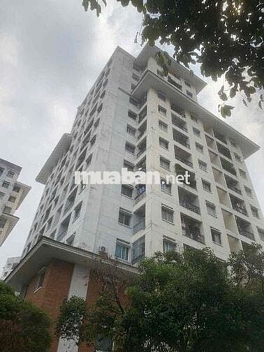 bán căn hộ chung cư p5 quận 11 ngay 312 Llq