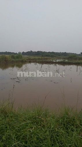 Đất rộng ngay khu dân cư đông vui 