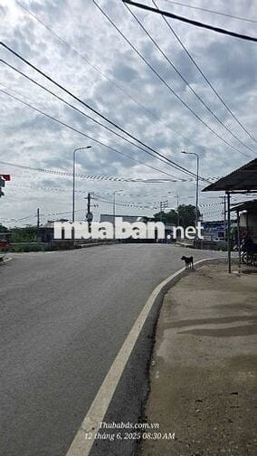 BÁN ĐẤT FULL THỔ MẶT TIỀN XÂY DỰNG TỰ DO