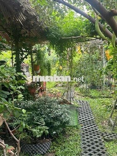 không có lô thứ 2 bán đất dt 400 m ngang 11 m giá 16,2 tr / m