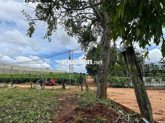ĐẤT BÌNH THẠNH CÁCH SÂN BAY 11KM GIÁ CHỈ 790TR