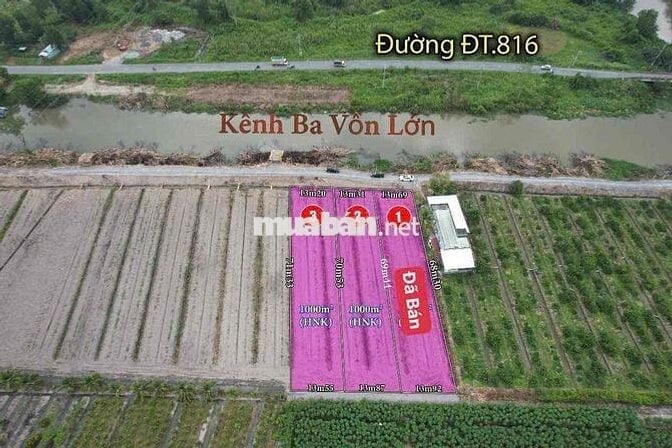 Hàng đầu tư F0 - Đất vườn MT nhựa ĐT.816 giá chỉ 8xxtr/lô