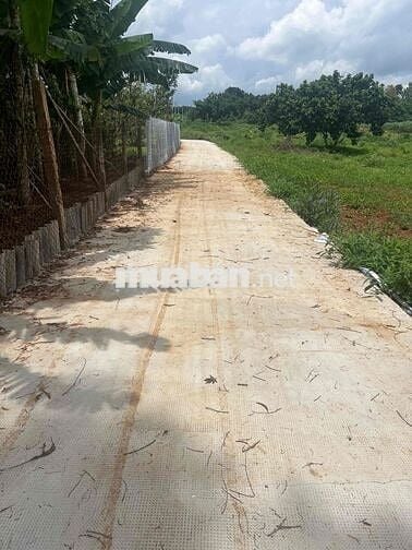 bán đất xã Ngãi Giao BRVT . nay là Xã Ngãi Giao mới TPHCM